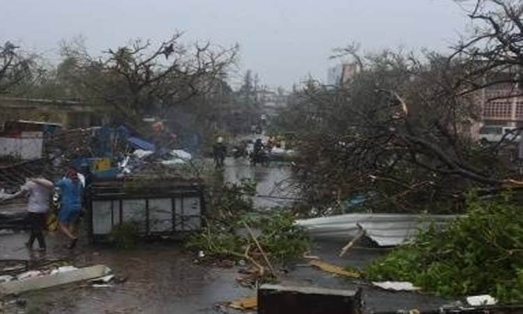 बंगाल : तूफान फानी से पेड़ उखड़े, भारी बारिश
