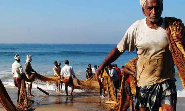 महाराष्ट्र : राज्य के समुंद्री क्षेत्र में 1 जून से 31 जुलाई तक मछली मारने पर लगा प्रतिबंध 
