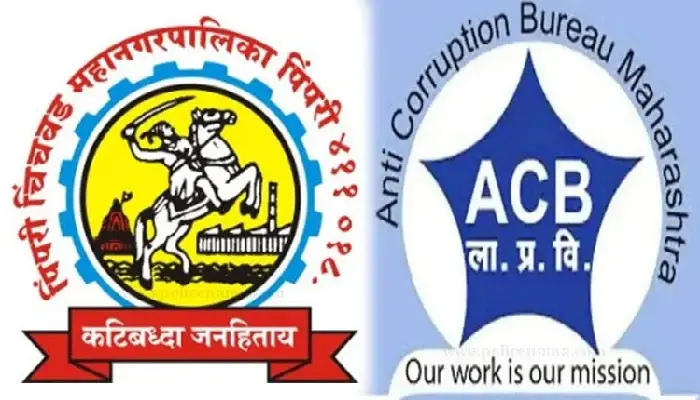  ACB Trap Case News | Officers of Pimpri-Chinchwad Municipal Corporation caught in anti-corruption net while taking bribe of 17 thousand